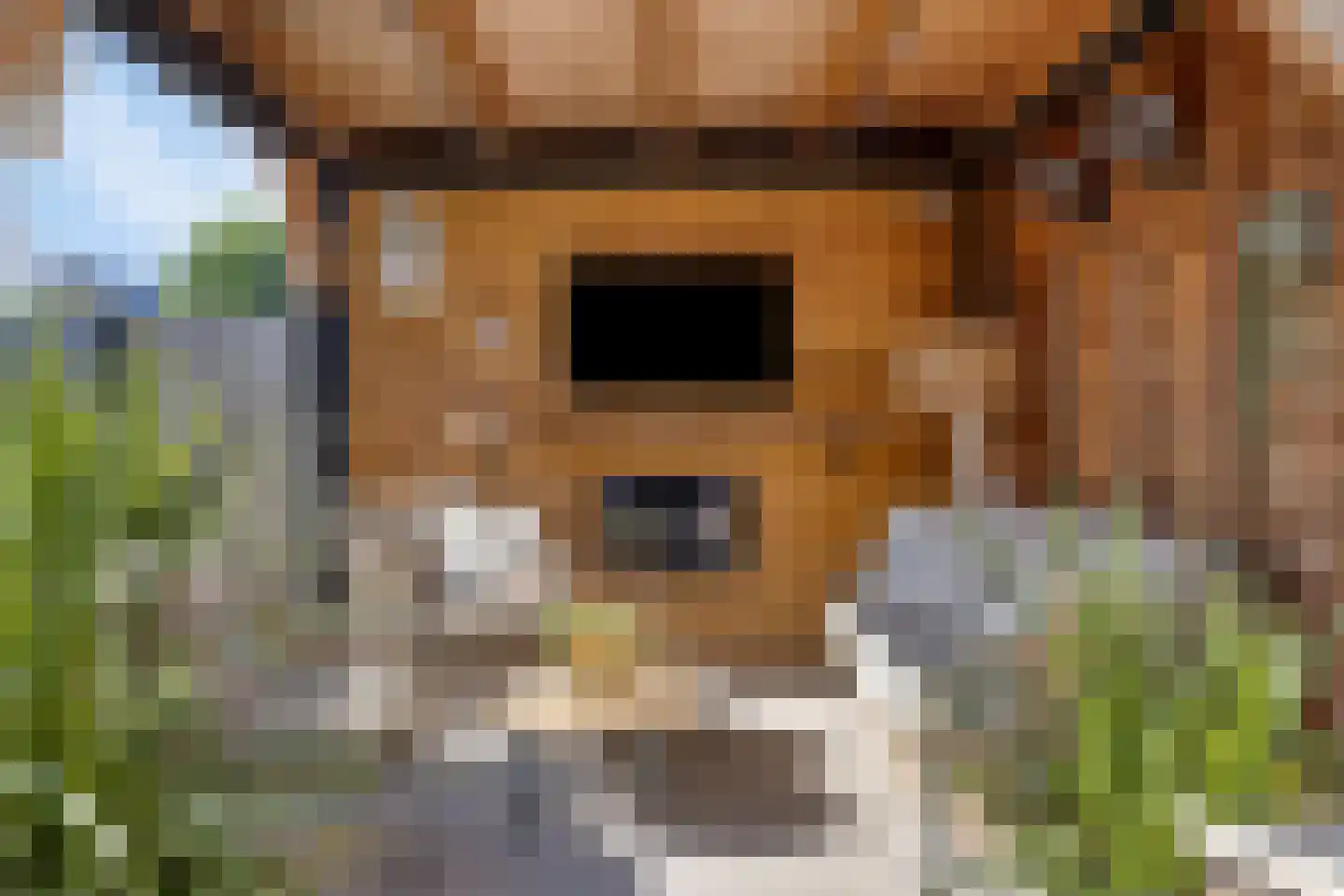 Lisdodde 22 Veenendaal thumbnail 36