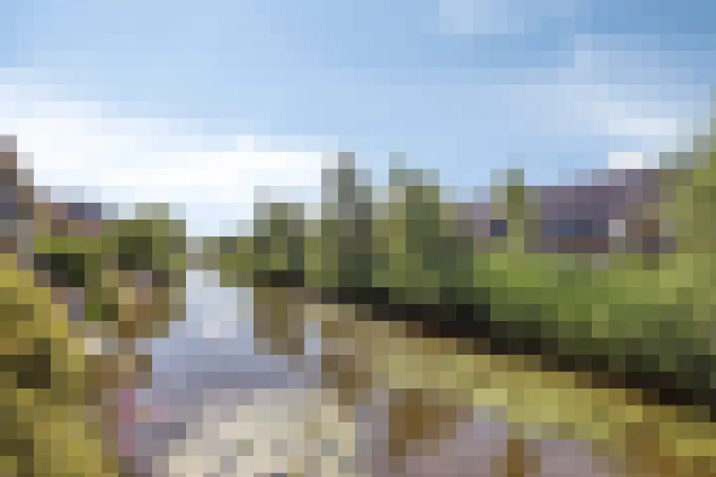 Lisdodde 22 Veenendaal thumbnail 41