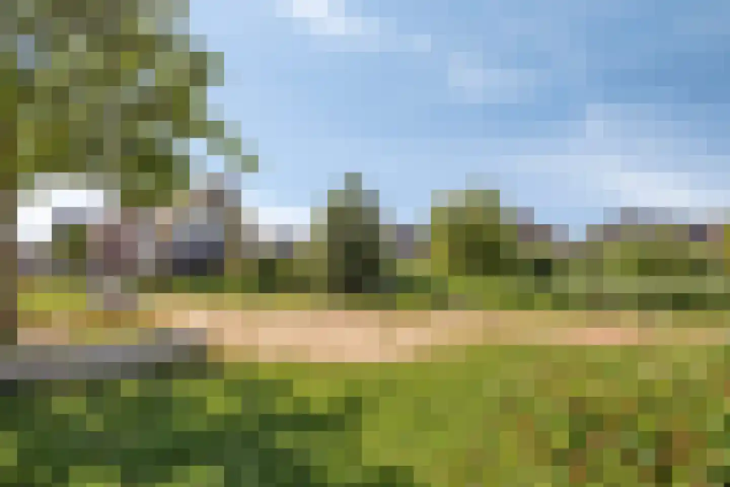 Lisdodde 22 Veenendaal thumbnail 43