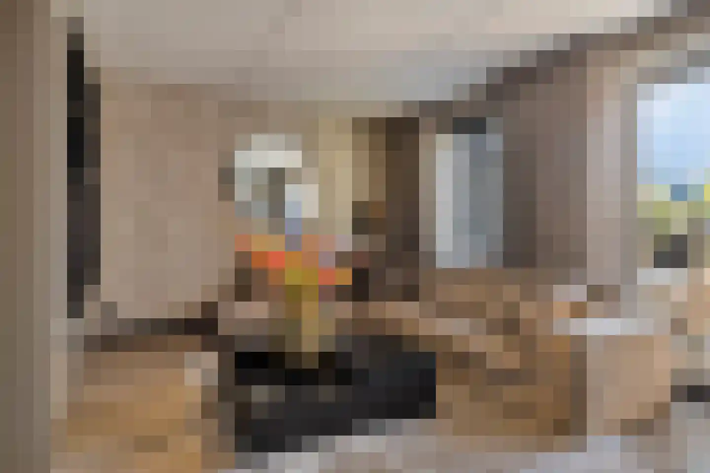 Lisdodde 22 Veenendaal thumbnail 8