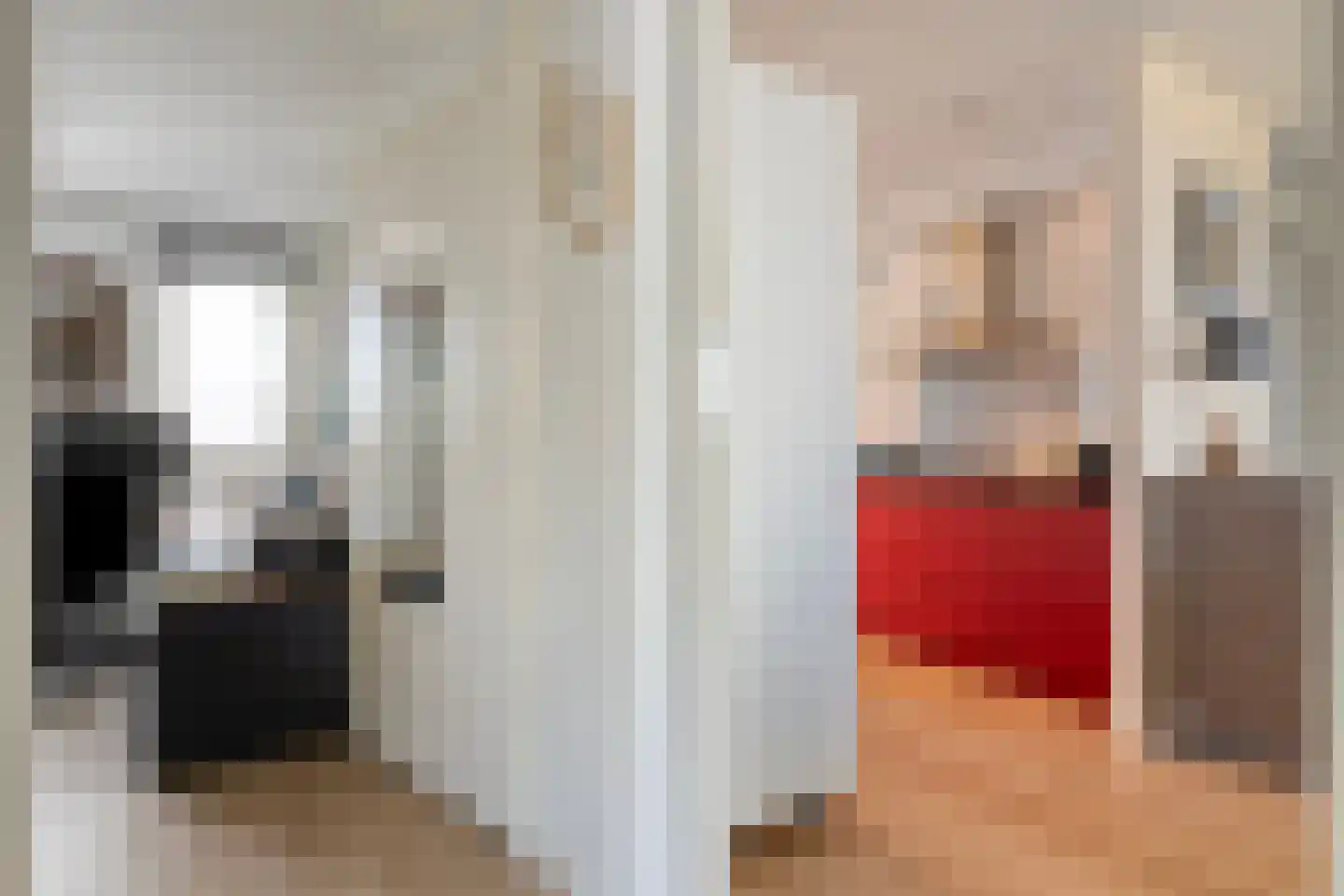 Lisdodde 23 Zwolle thumbnail 18