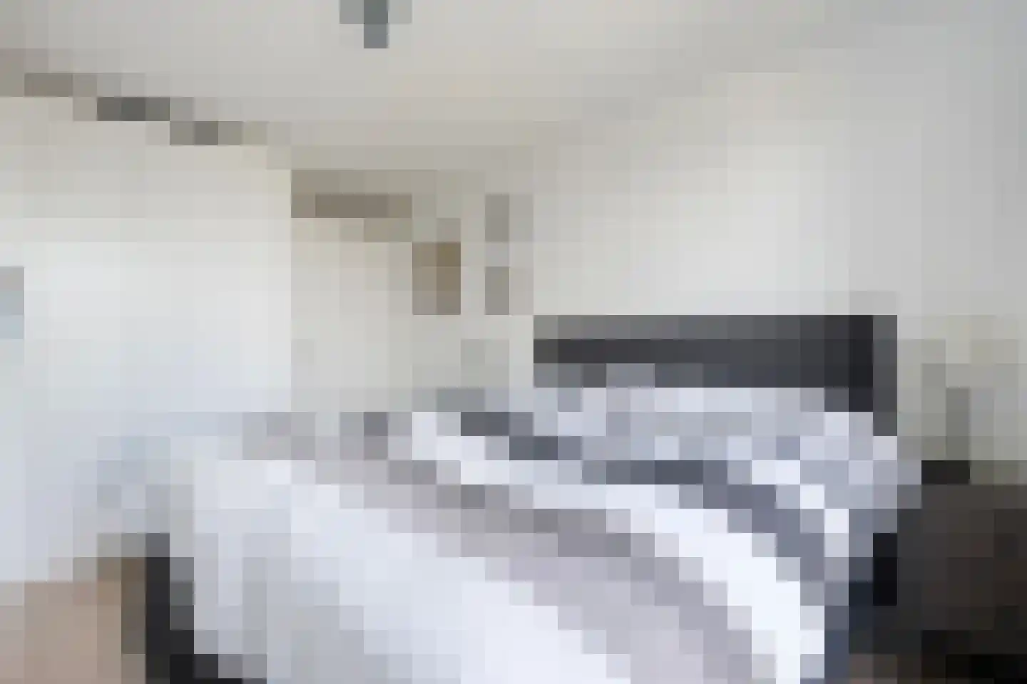 Lisdodde 23 Zwolle thumbnail 22