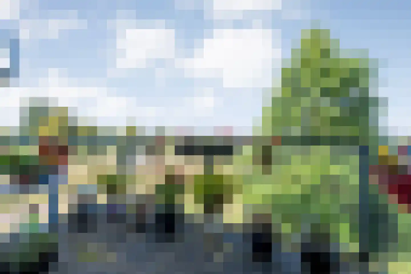 Lisdodde 23 Zwolle thumbnail 27