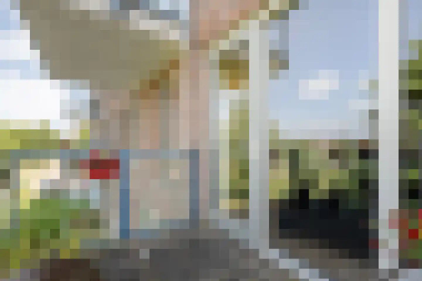 Lisdodde 23 Zwolle thumbnail 28