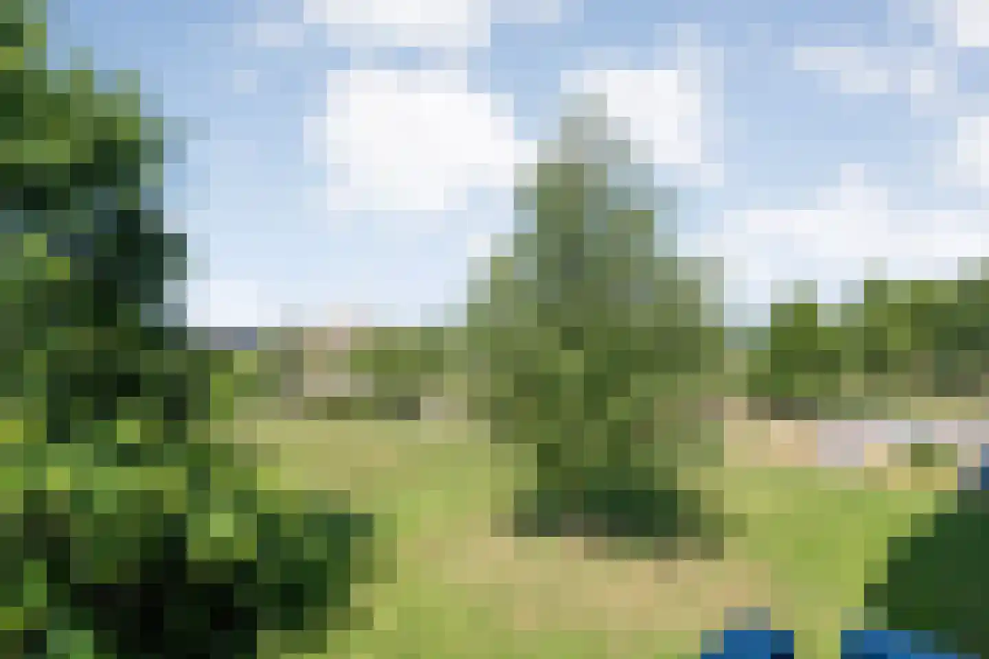 Lisdodde 23 Zwolle thumbnail 30