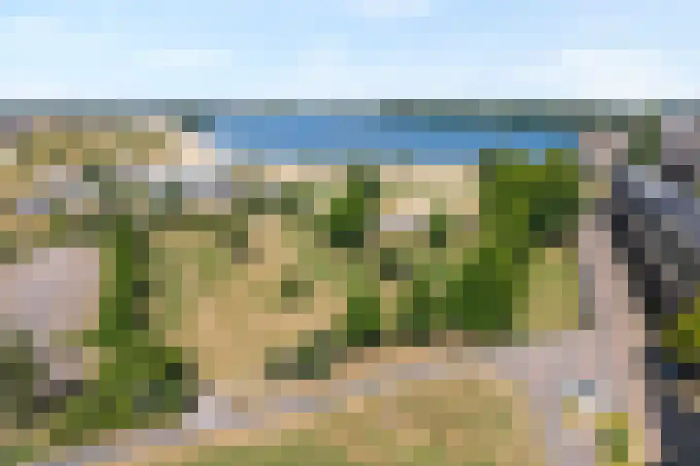 Lisdodde 23 Zwolle thumbnail 31