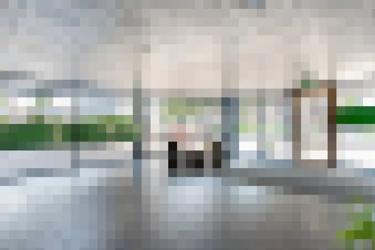 Lisdodde 23 Zwolle thumbnail 33