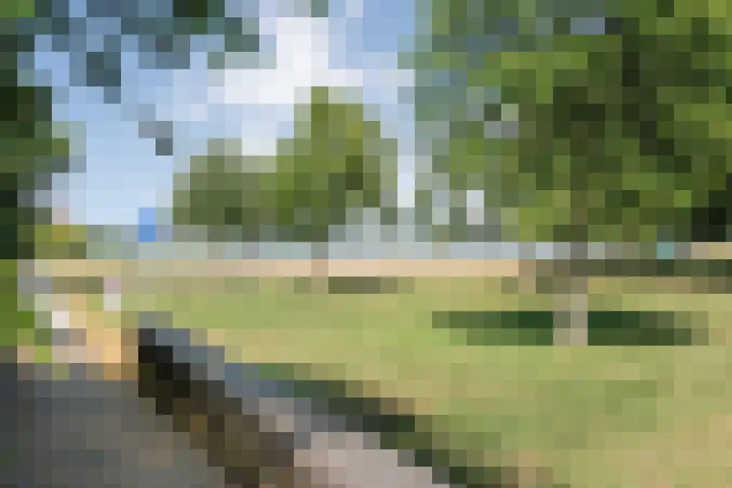 Lisdodde 23 Zwolle thumbnail 39