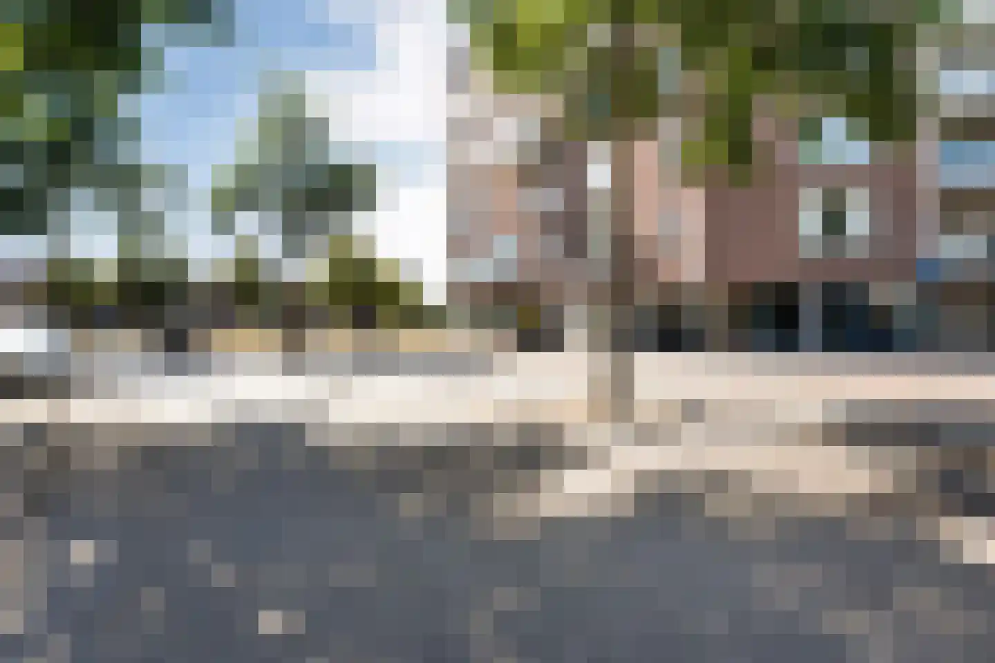 Lisdodde 23 Zwolle thumbnail 43