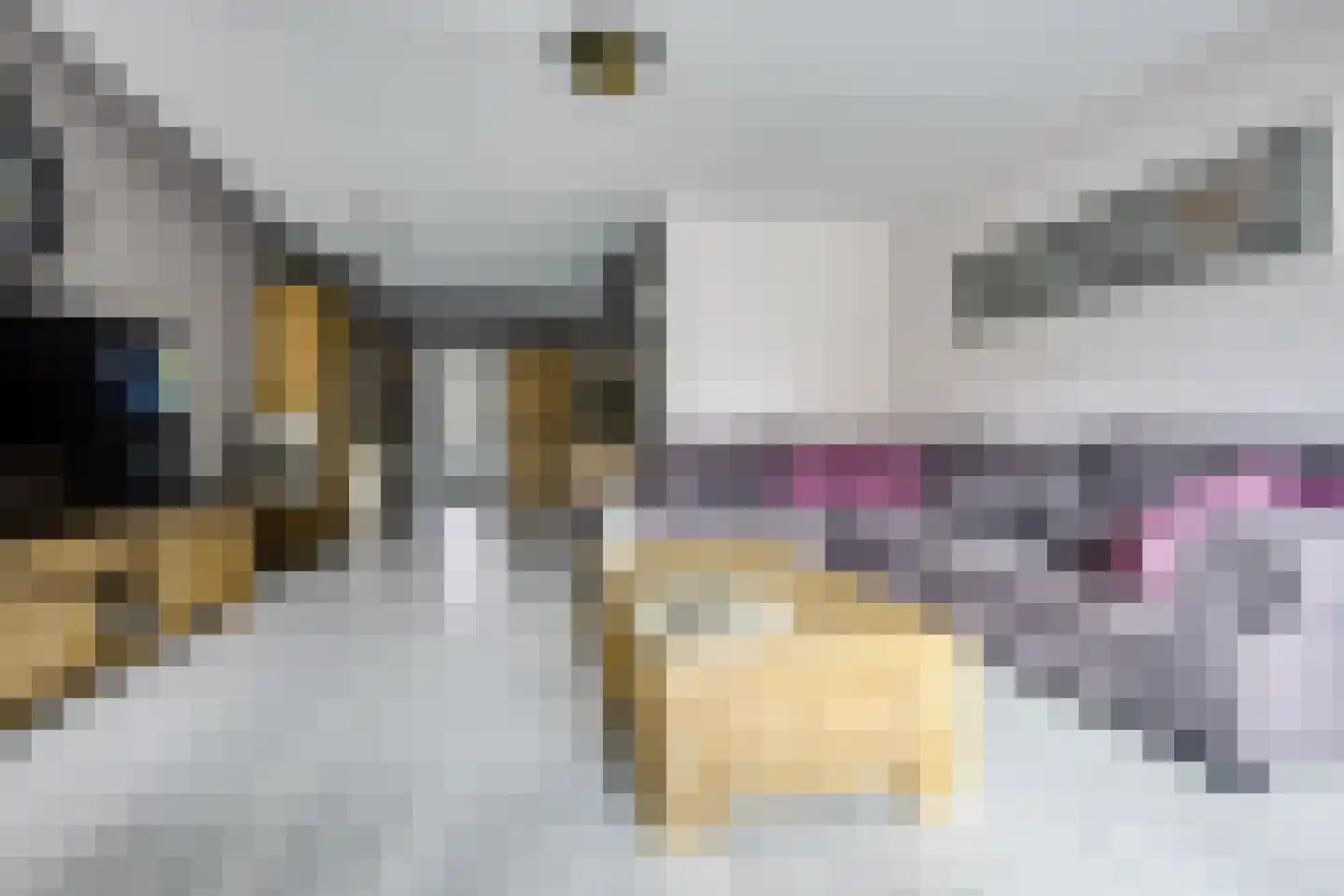 Lisdodde 24 Naaldwijk thumbnail 11