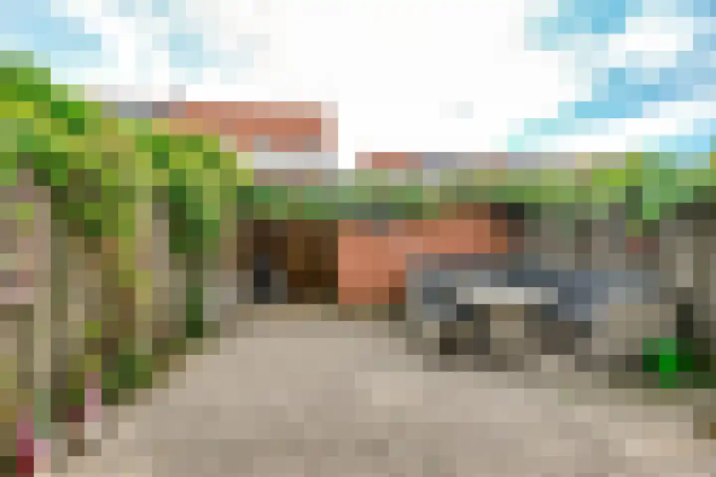 Lisdodde 24 Naaldwijk thumbnail 14