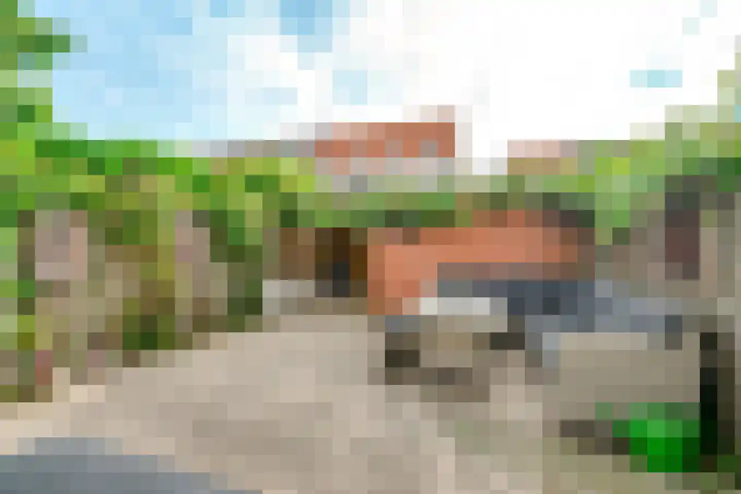 Lisdodde 24 Naaldwijk thumbnail 15