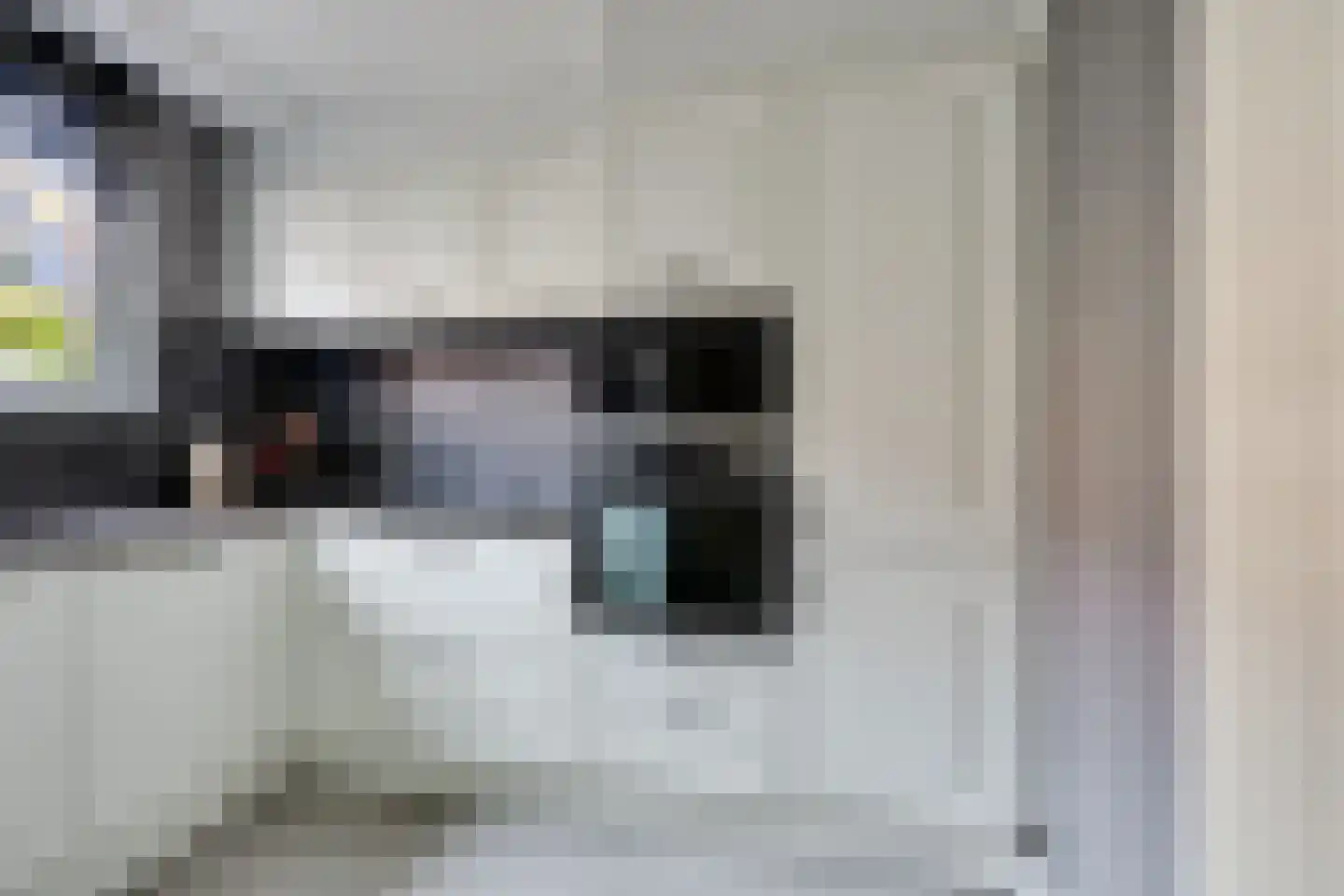 Lisdodde 24 Naaldwijk thumbnail 18