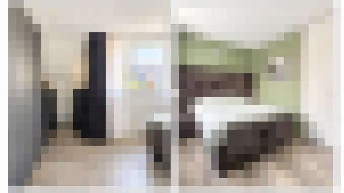 Lisdodde 24 Naaldwijk thumbnail 25