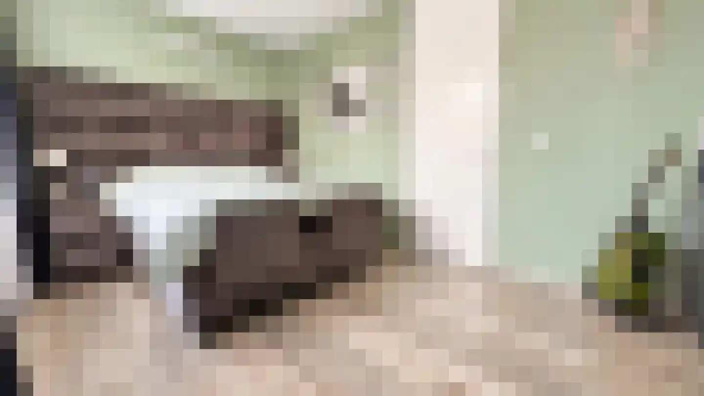 Lisdodde 24 Naaldwijk thumbnail 27