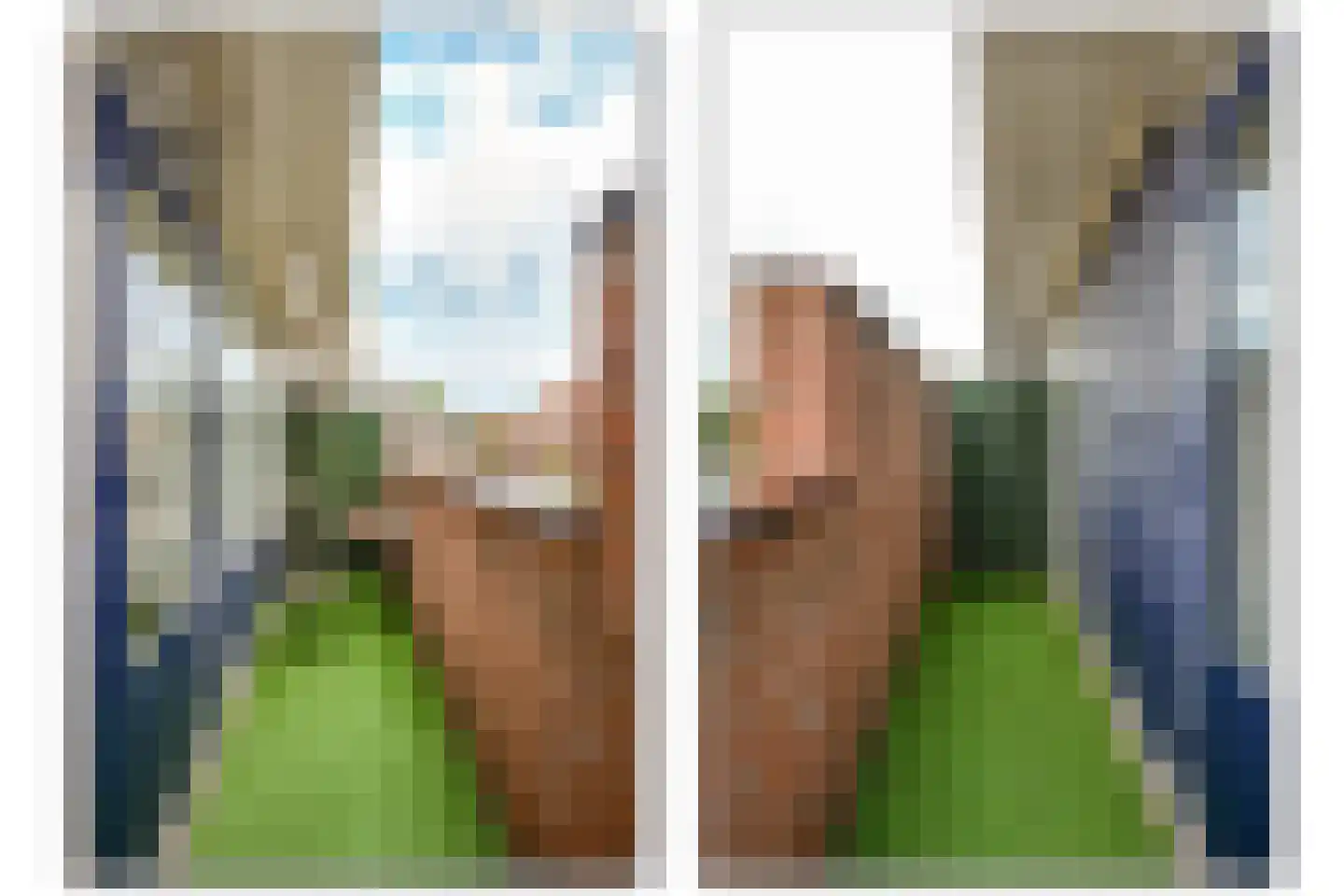 Lisdodde 24 Naaldwijk thumbnail 30