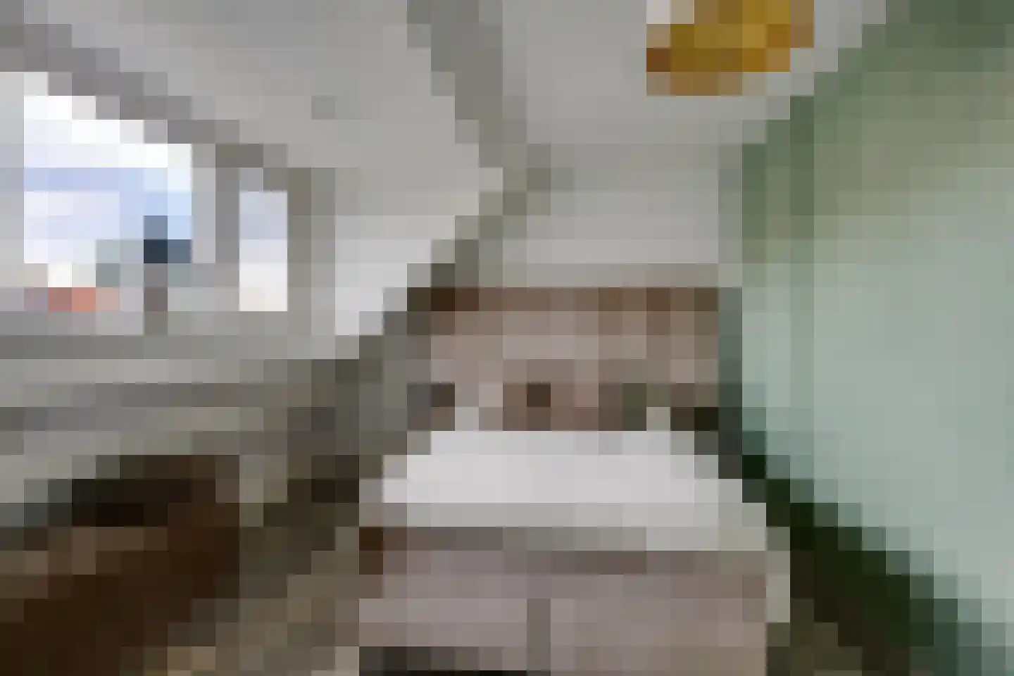 Lisdodde 24 Naaldwijk thumbnail 35