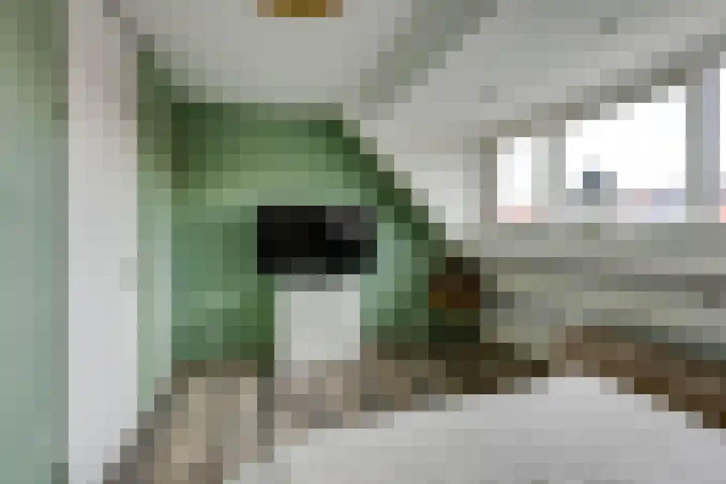 Lisdodde 24 Naaldwijk thumbnail 36