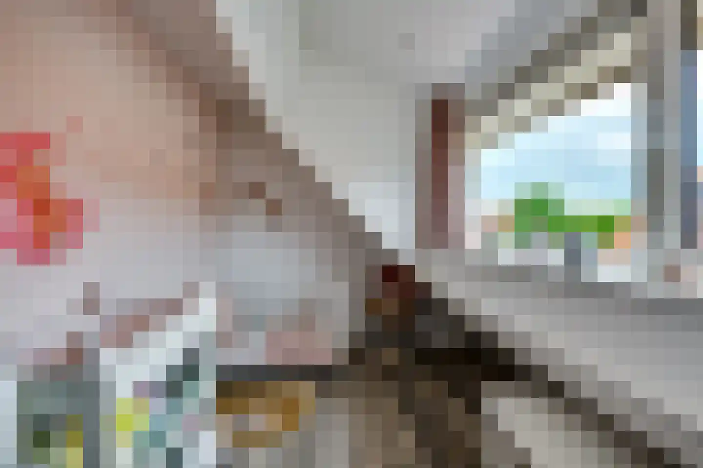 Lisdodde 24 Naaldwijk thumbnail 37