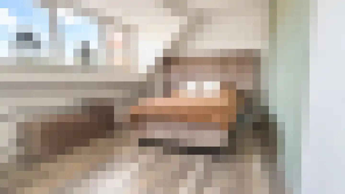 Lisdodde 24 Naaldwijk thumbnail 37