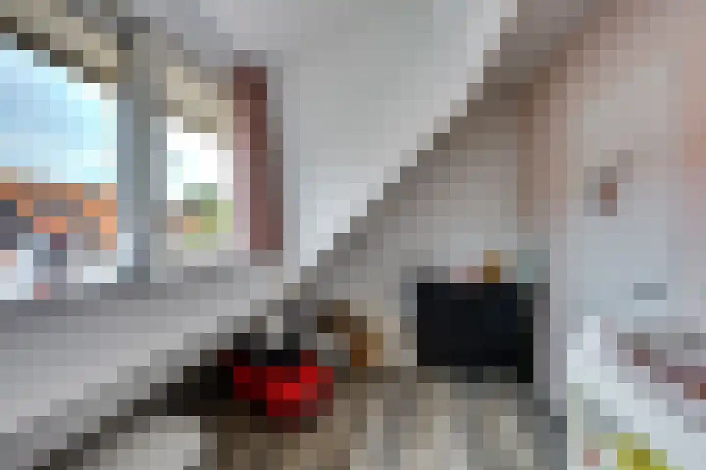 Lisdodde 24 Naaldwijk thumbnail 38