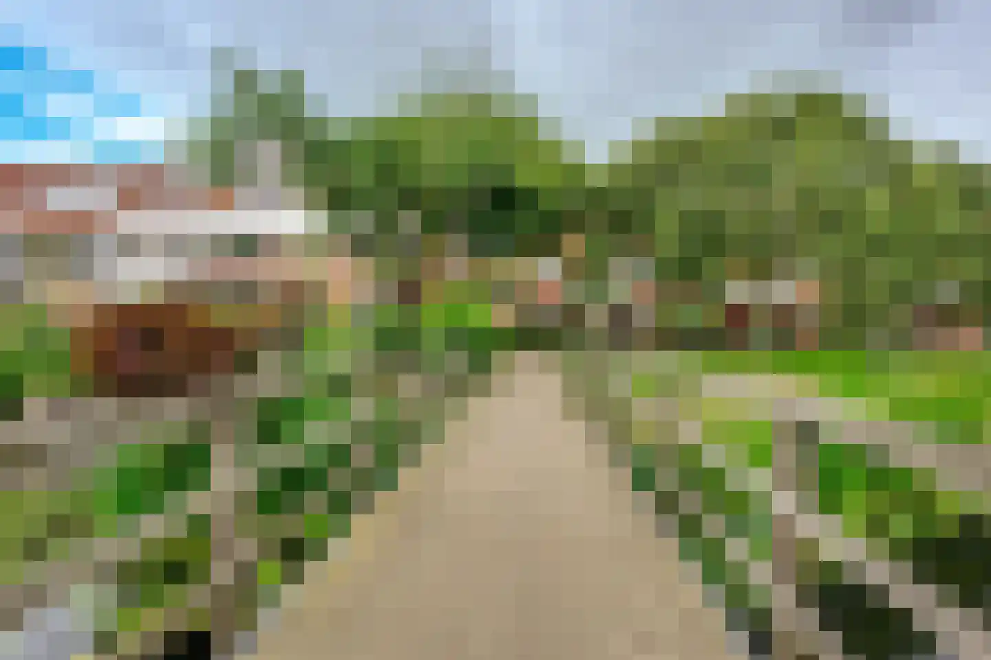 Lisdodde 24 Naaldwijk thumbnail 39