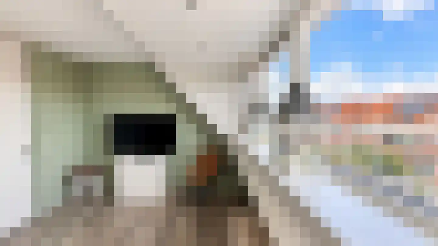Lisdodde 24 Naaldwijk thumbnail 40