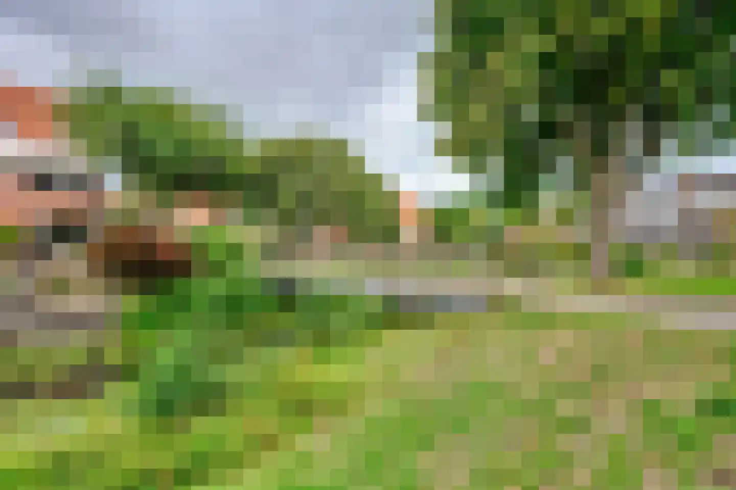 Lisdodde 24 Naaldwijk thumbnail 41