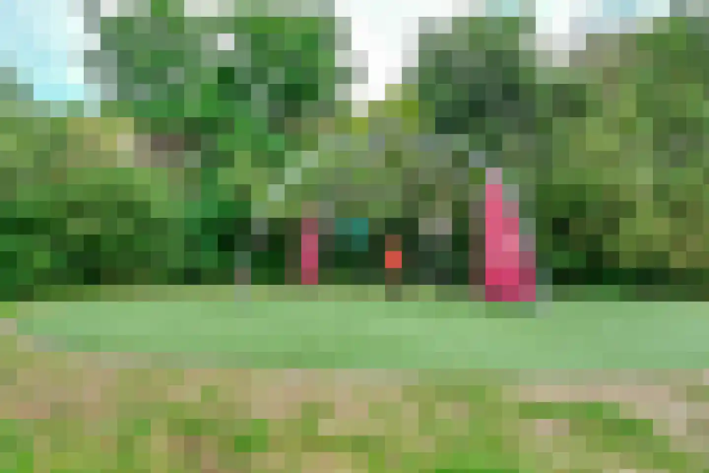 Lisdodde 24 Naaldwijk thumbnail 42