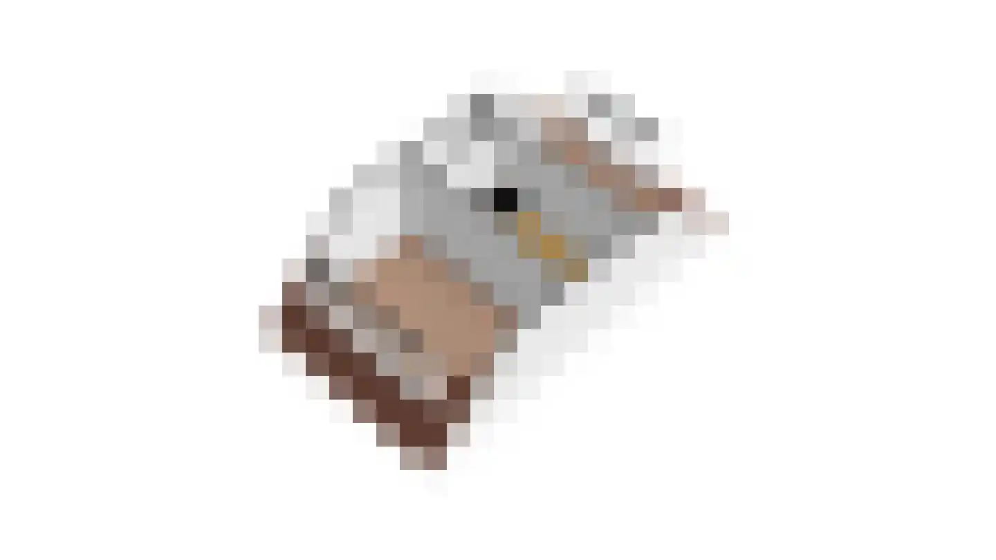 Lisdodde 24 Naaldwijk thumbnail 53