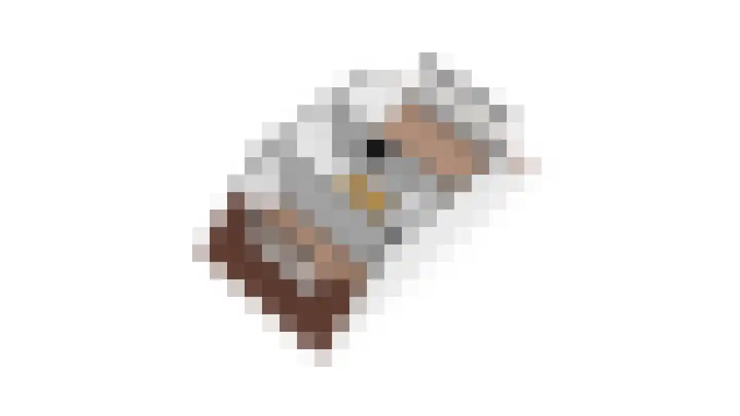 Lisdodde 24 Naaldwijk thumbnail 54