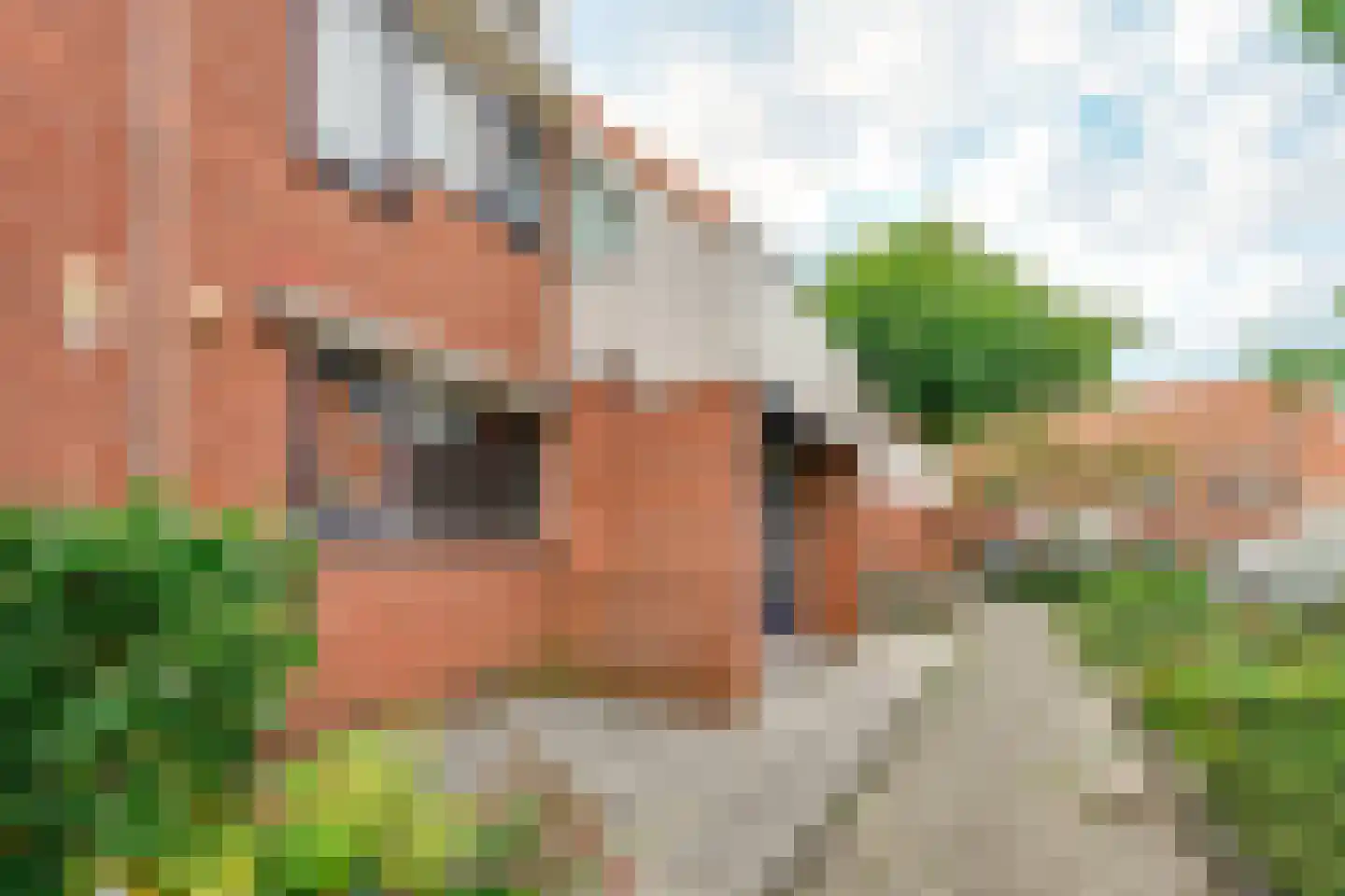 Lisdodde 24 Naaldwijk thumbnail 7