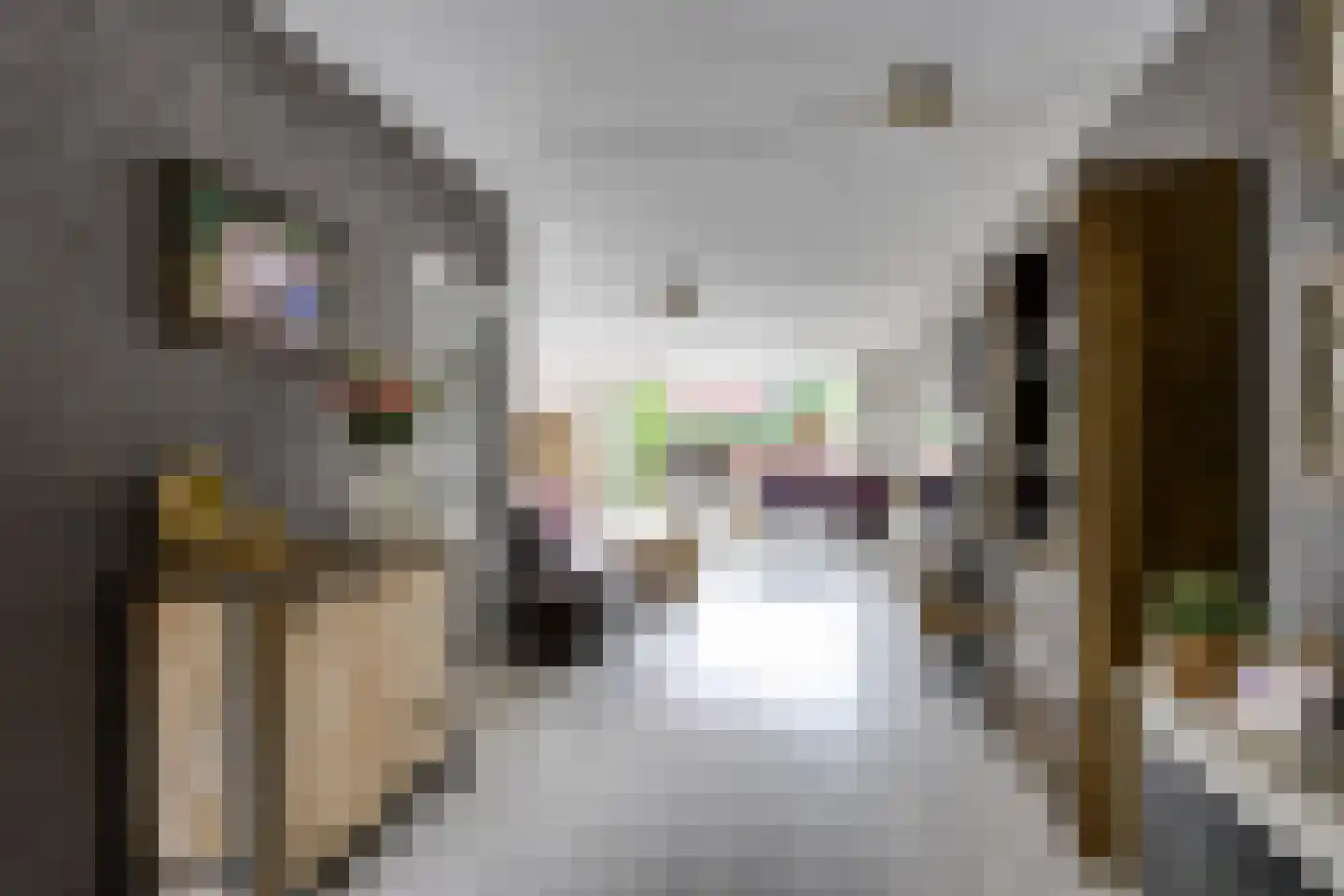 Lisdodde 24 Naaldwijk thumbnail 9