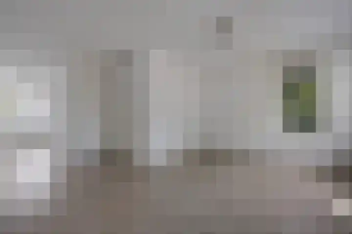 Lisdodde 26 Nijverdal thumbnail 10