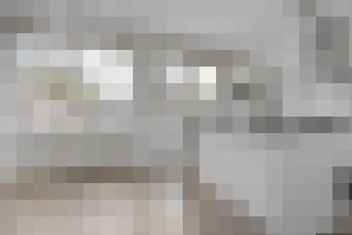 Lisdodde 26 Nijverdal thumbnail 16