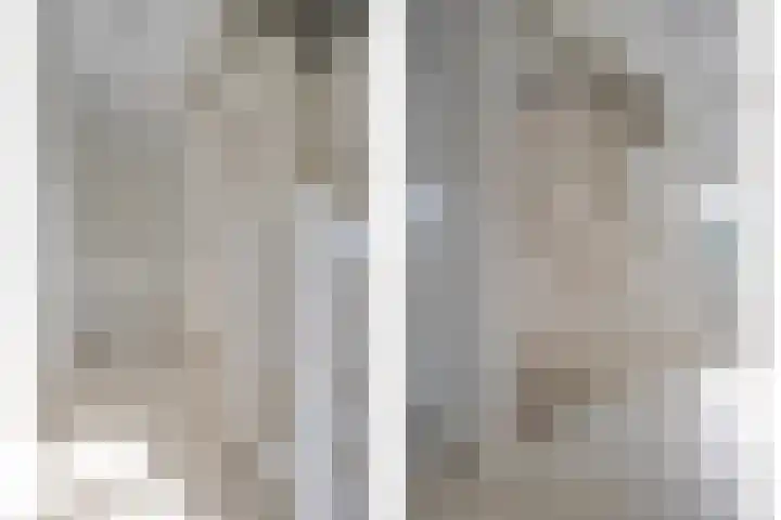 Lisdodde 26 Nijverdal thumbnail 17