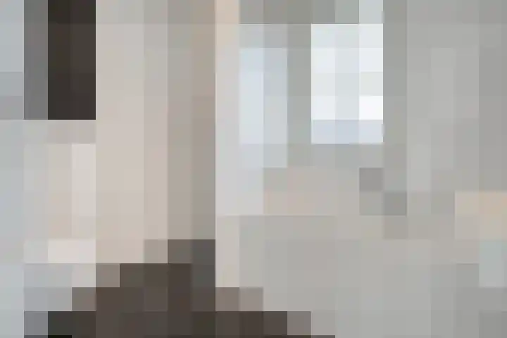 Lisdodde 26 Nijverdal thumbnail 24