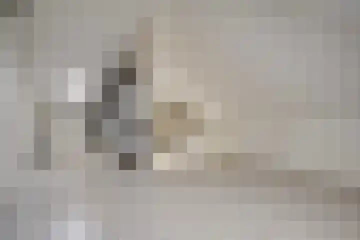 Lisdodde 26 Nijverdal thumbnail 27