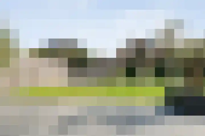 Lisdodde 26 Nijverdal thumbnail 29