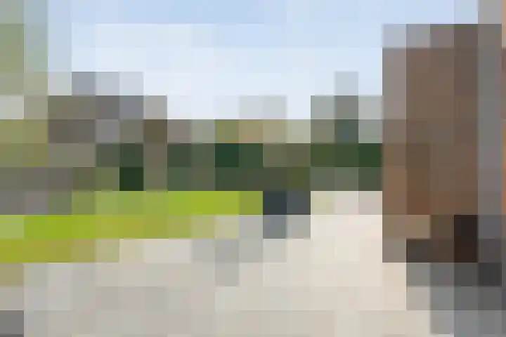 Lisdodde 26 Nijverdal thumbnail 30
