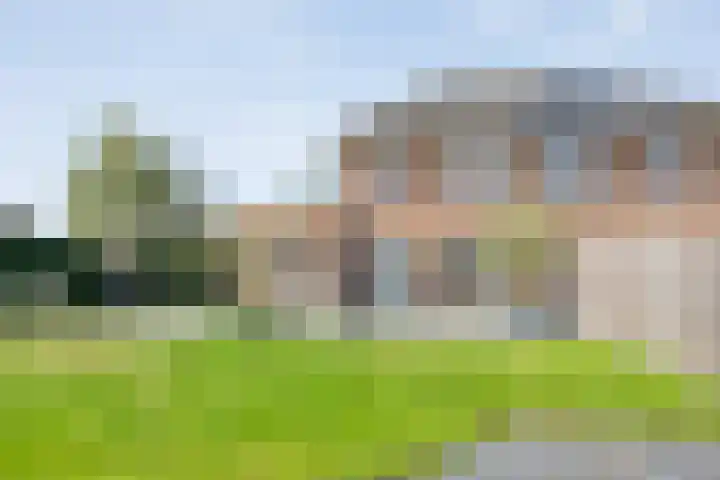 Lisdodde 26 Nijverdal thumbnail 31