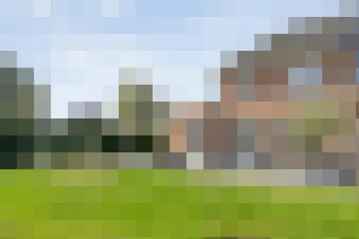 Lisdodde 26 Nijverdal thumbnail 32