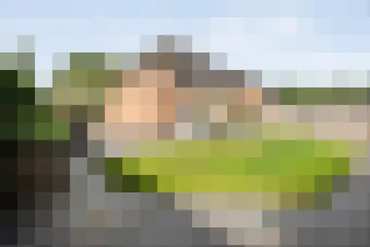 Lisdodde 26 Nijverdal thumbnail 34