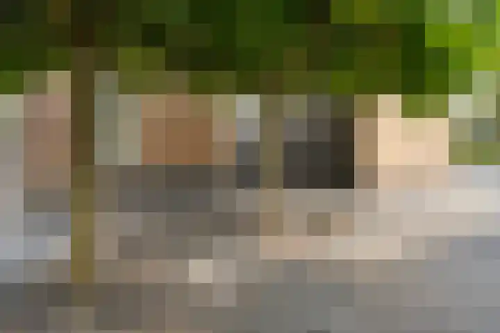 Lisdodde 26 Nijverdal thumbnail 35