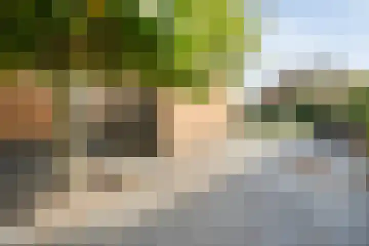Lisdodde 26 Nijverdal thumbnail 36