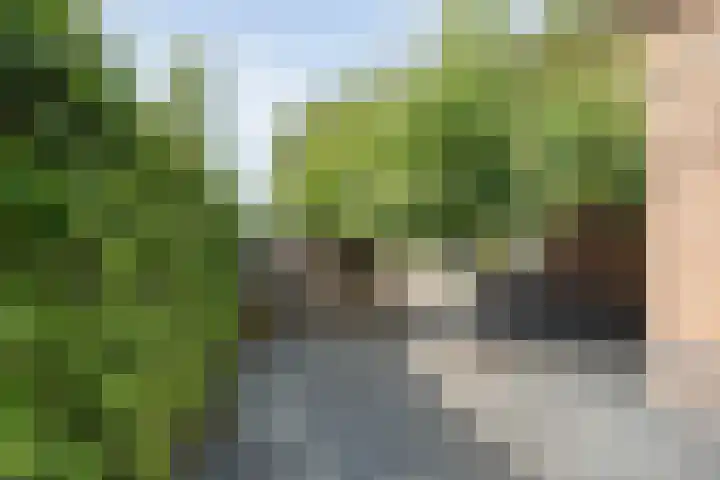 Lisdodde 26 Nijverdal thumbnail 37