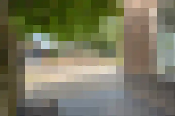 Lisdodde 26 Nijverdal thumbnail 38