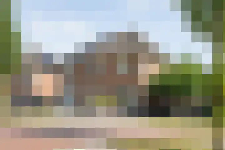 Lisdodde 26 Nijverdal thumbnail 4