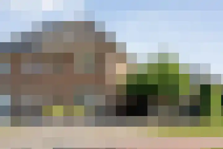 Lisdodde 26 Nijverdal thumbnail 41