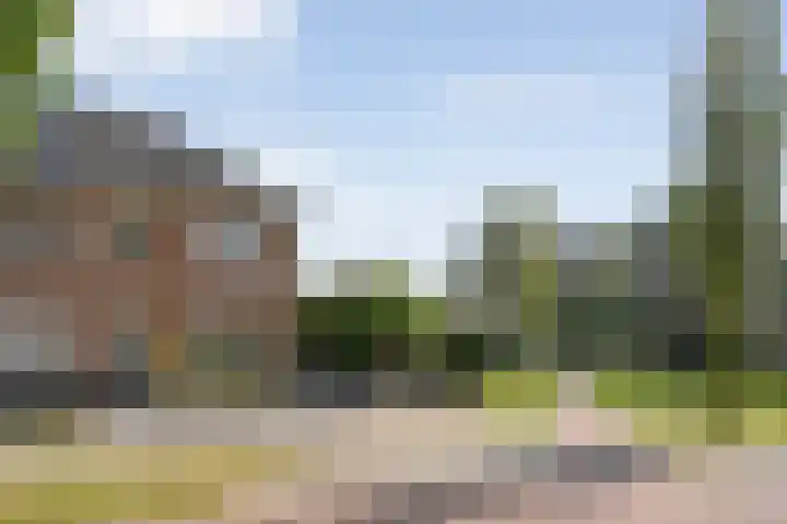 Lisdodde 26 Nijverdal thumbnail 42